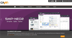 Desktop Screenshot of cayintech.com